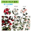 ST TS Rose Garland, Artificial Flowers, Silk Flowers, Home Decoration,