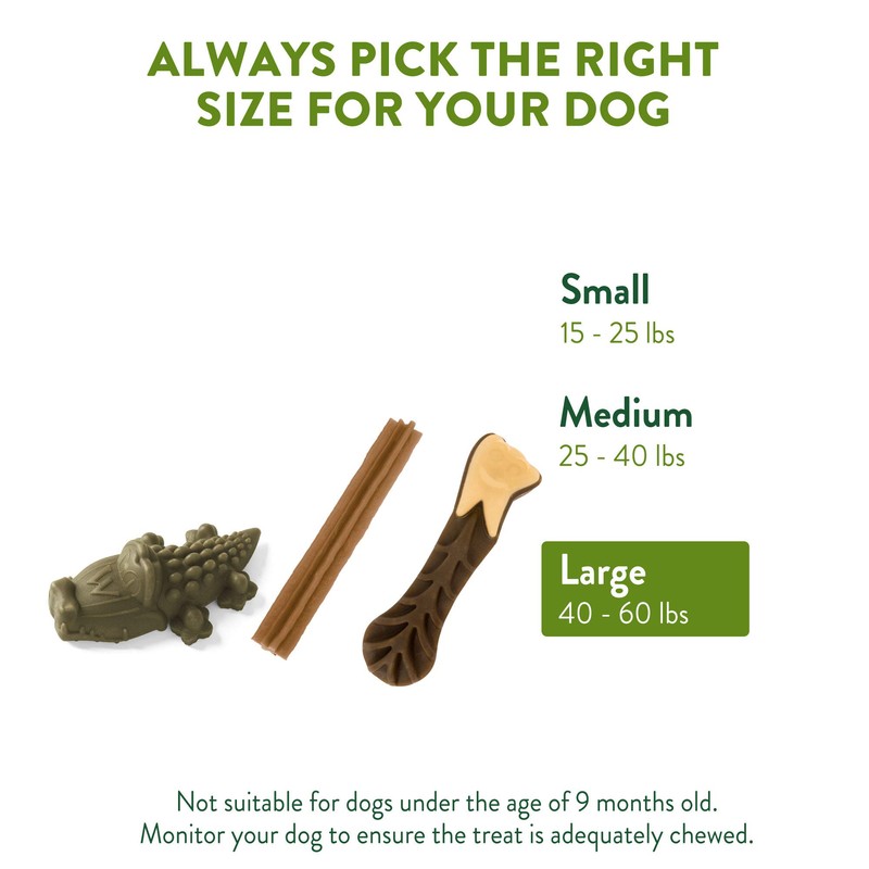 WHIMZEES Natural Grain Free Daily Dental Long Lasting Dog Treats,