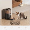 IMIPAW PET Automatic Cat Feeder: 3L Auto Food Dispenser with