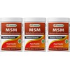 Best Naturals 100% Pure MSM Powder, 1Lb (Pack of 3)