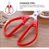 Nutcracker Nut Pistachio Sunflower Peeler Scissor Plier Stainless Steel Walnut