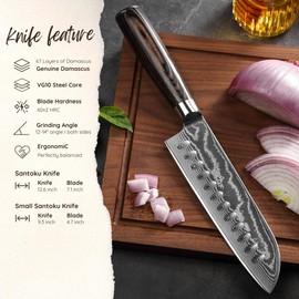 Wakoli Kitchen Knife Set, 2 Pieces Professional Chef Knife Set made from 67 Layers Genuine Damascus Steel with VG10 Core, Professional Knives Set Santoku Knife with Pakkawood Handle in Gift Box (ESE)