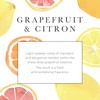 Pecksniff's Grapefruit & Citron Wash 480ml/16.2 fl oz