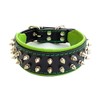 Bestia Frenchie Dog Collar, Spiked, Handmade, Bulldog Design, Pug, Terrier,