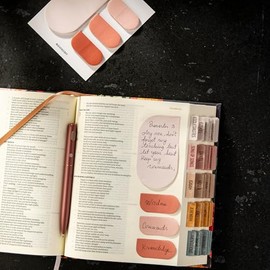 DiverseBee Juego de notas adhesivas pastel, lindas notas adhesivas, blocs de notas estéticas autoadhesivas, pestañas adhesivas, banderas de página, ac
