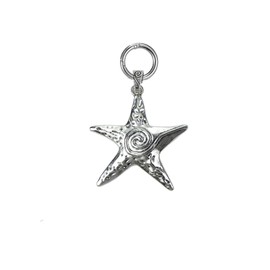 Jamortty Starfish Keychain Y2k Star Keychain Swirl Retro Metal Alloy Key Ring Bag Charms Purse Pendant (Style 1)