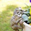 Darthome Set Of 2 Frog Pot Hangers 7x14x6cm Resin Green