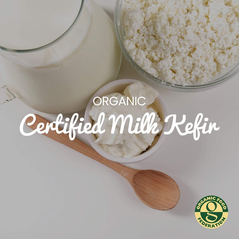 Freshly Fermented – 15g Organic Certified Milk Kefir Grains