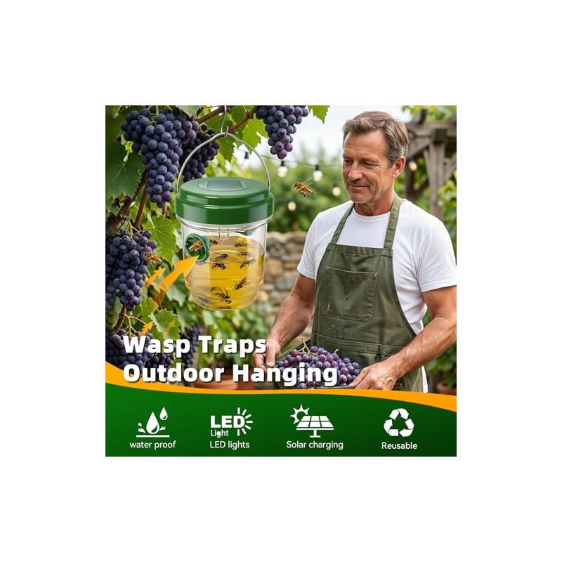 4 Pack Wasp Trap Outdoor Hanging