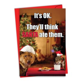 NobleWorks Hysterical Christmas Thank You Greeting Card with 5 x 7 Inch Envelope (1 Card) Think Santa Ate Them C1957XTG