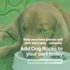 Dog Rocks for Urine Burning Grass - 200g Natural Pet