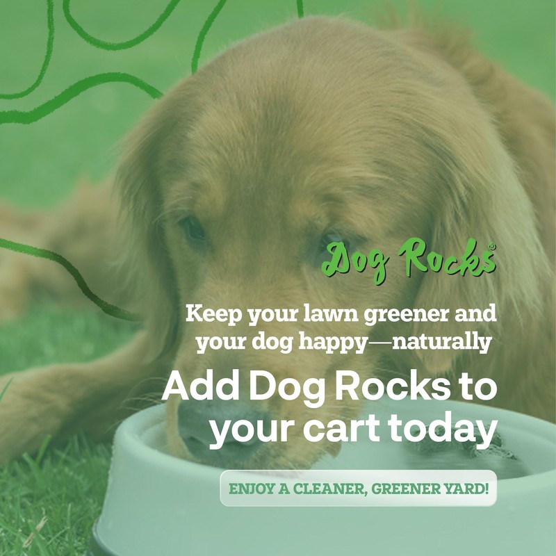 Dog Rocks for Urine Burning Grass - 200g Natural Pet