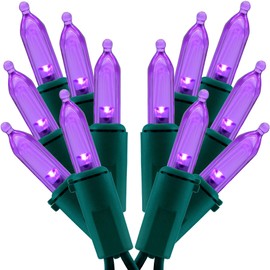 SWEET SHINE Purple LED Christmas Lights 200 Count, Pack of 2 Sets 25 ft 100 LED Green Wire Mini String Lights Set (Purple)