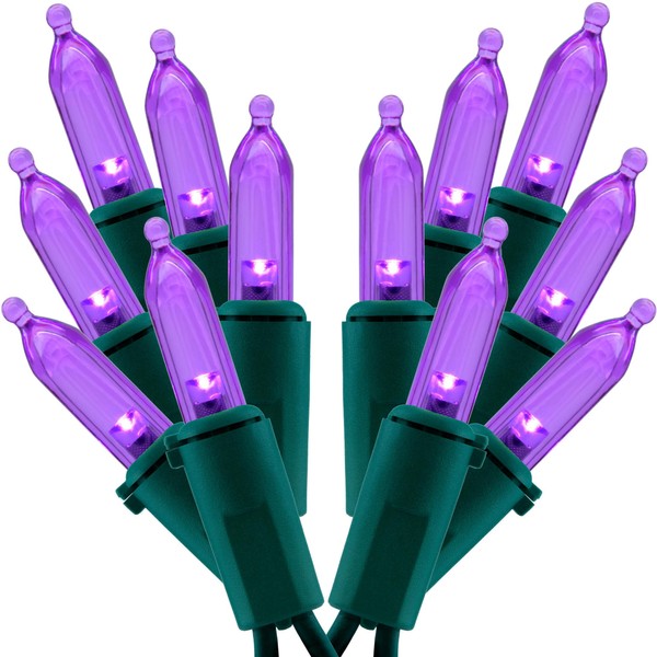 SWEET SHINE Purple LED Christmas Lights 200 Count, Pack of