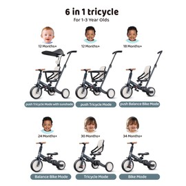 newyoo Tricycle for Toddlers 1-3, Toddler Tricycle with Push Handle and Canopy, Toddler Bike, Birthday Gift and Toys for Girl and Boy, 6 in 1 Baby Trike, Balance Bike, TR009, Dark Grey
