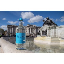 Hildon - Delightfully Still (Non-Sparkling) Natural Mineral Water, 11.2 fl oz (6 Glass Bottles)