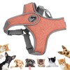 Pet Leash Vest Reflective Harness Adjustable Breathable Cat Dog Outdoor