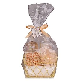 Accentra Honey Jasmine Women's Shower Set in Beautiful Wire Basket - 4-Piece Care Set with Shower Gel, Body Lotion, Bath Confetti & Sponge - Wellness Gift Set for Birthday