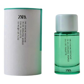 Zara Mr. Chache In An Amazing World Perfume for Men Eau de Toilette Spray 50ml (1.69 fl. oz)