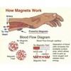 ProMagnet Magnetic Carpal Wrap (Magnets Range up to 12,300 Gauss