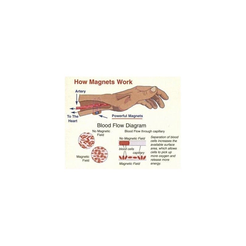 ProMagnet Magnetic Carpal Wrap (Magnets Range up to 12,300 Gauss
