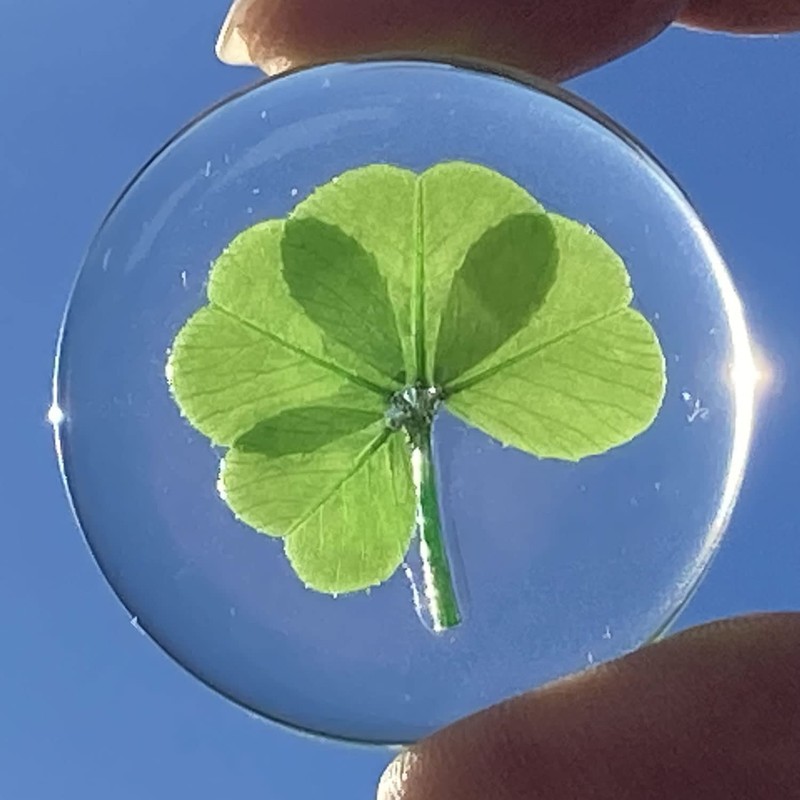 Real Four Leaf Clover "Good Luck Pocket Token" Traditional Lucky
