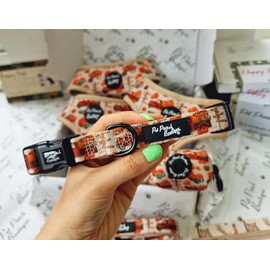PUMPKIN PATCH CART DOG COLLAR XS