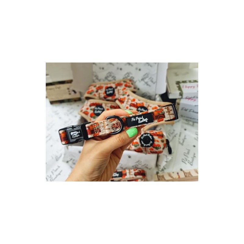 PUMPKIN PATCH CART DOG COLLAR XS