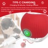 Interactive Cat Toy Cat Ball Electric Charging via USB Magic