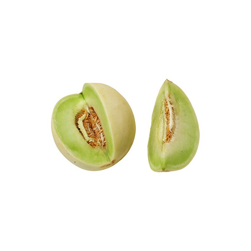 Cantaloupe Melon Honey Dew Green Flesh Great Heirloom Vegetable by