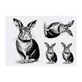 4 x 'Brown Hare Rabbit' Temporary Tattoos - Water Resistant, Skin-Safe, Non-Toxic Transfers, Mixed Sizes (TO00065080)