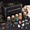 SigMntun Polished Crystal Set - 16 Pcs Handpicked Natural Tumbled