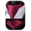 HISDERN Red Cravats for Men Wedding Polka Dot Ascot and
