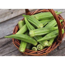 Okra Seeds for Coffee Lady's Finger Bamia Vegetable for Planting Giant Non GMO 20 Seeds