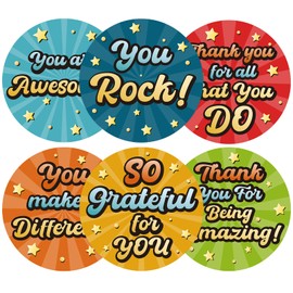 Anwyll Kudos Appreciation Thank You Stickers,120Pcs 2Inch Thank You for All You Do Sticker,You are Awesome Stickers,so Grateful for You Sticker for Teacher Employee Nurse Volunteer Student(6 Design)