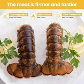 OCEANZEN Surf & Turf Duo – 2 Cold Lobster Tails (6-8oz Each) & 2 New York Strip Steaks (10 oz Each, USDA Prime) – Wild-Caught & Gourmet Quality