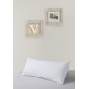 Velfont Terry Cotton Cushion Cover, Anti-Allergy, Waterproof and Breathable, Available
