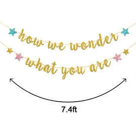 Deloklte How We Wonder What You are Banner - Welcome Baby Sign Shower, Gender Reveal Party Decorations Twinkle Little Star for Birthday, Gold