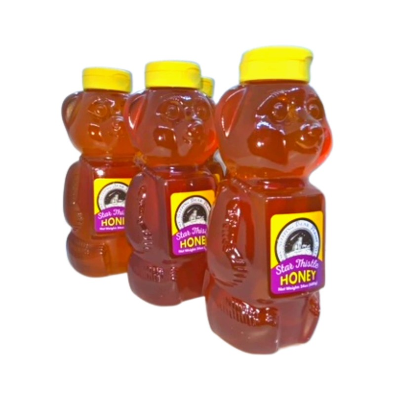 Star Thistle Honey Bear 24 oz. Unpasteurized Unblended No Additives