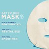 Garnier Hyaluronic Aloe Serum Sheet Mask