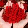 HannaFires 30PCS Traditional Shape Mini Double Happiness Wedding Decorations -