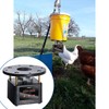 Automatic Chicken Feeder Timer, Briidea Poultry Feeder Motor and Timer