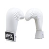 Playwell Martial Arts Karate Competition Vinyl Sparring Mitts, Gloves -