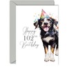 102nd Birthday Cards for Men Women - Party Dog -