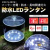 Pop Frog LED Lantern, Solar Charging, Waterproof, Foldable, Daylight, 4