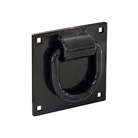 Buyers Products B40MP D-Ring (D-Ring, Kit,W/Mtging Plate and Carriage) , black