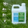 Advanced 16-4-8 Lawn Fertilizer - Liquid Lawn Food Spring &