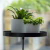 MAISONICA Window Plant Tray Windowsill Clamp Black 24cm Window Dressing