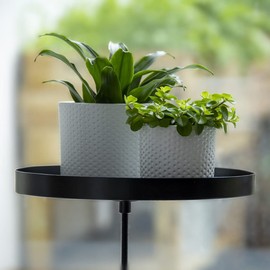 MAISONICA Window Plant Tray Windowsill Clamp Black 24cm Window Dressing