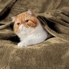 Bedsure Fleece Blanket Sofa Throw - Versatile Blanket Fluffy Soft